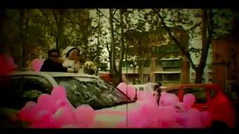 近期欧美婚礼视频,浪漫瞬间捕捉全球目光