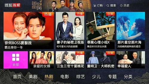 日本欧美mv视频播放,日本欧美MV视频的视听盛宴